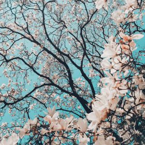 Untitled-3